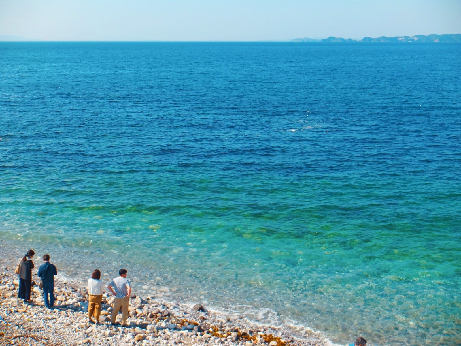 白崎海洋公園11