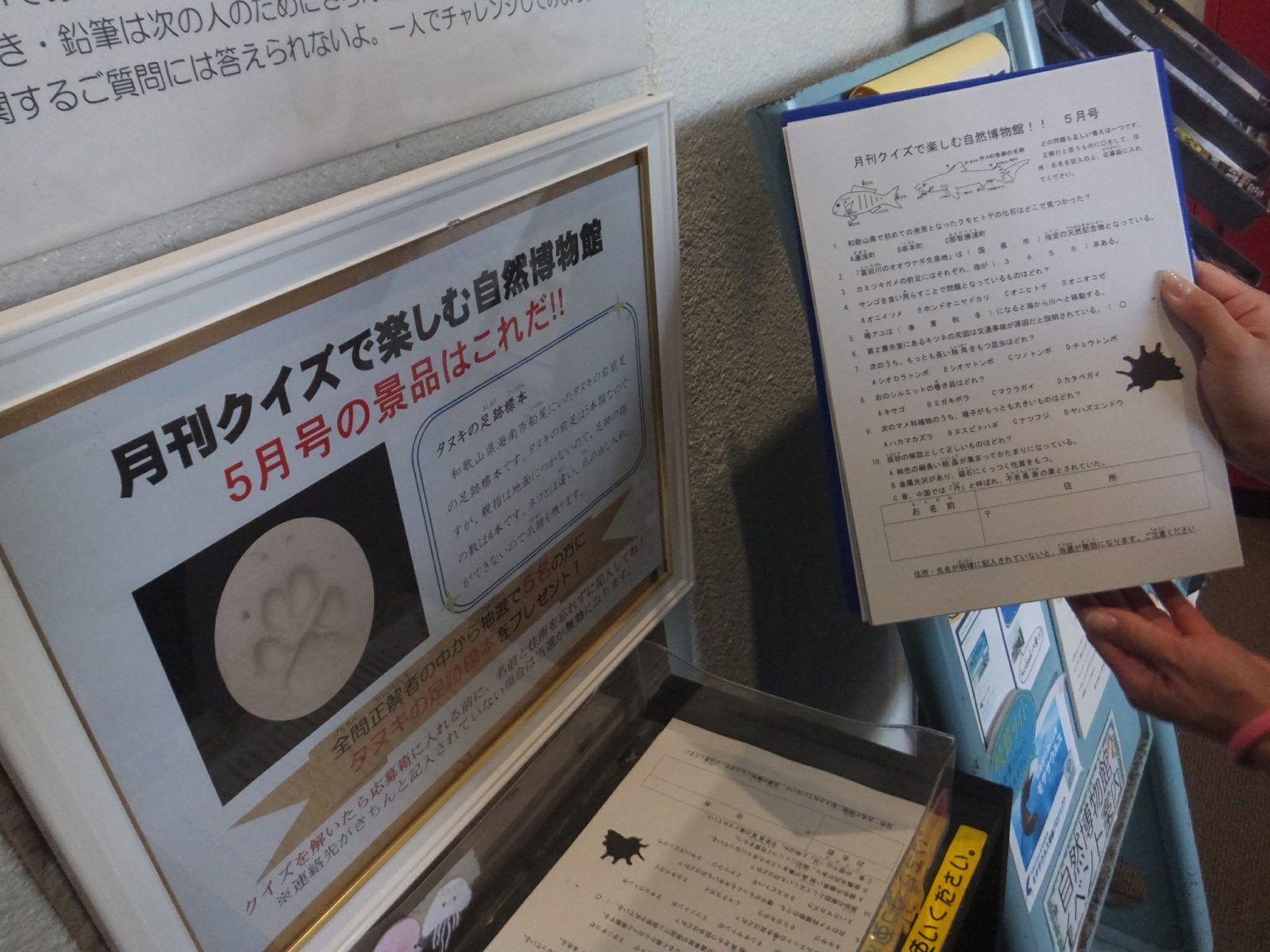 和歌山県立自然博物館