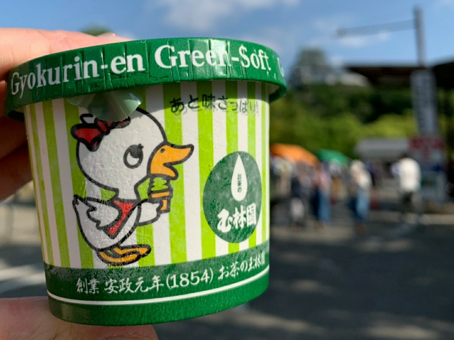 グリーンソフト6