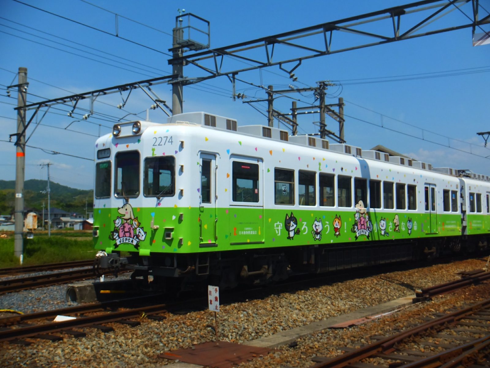 日本動物愛護協会