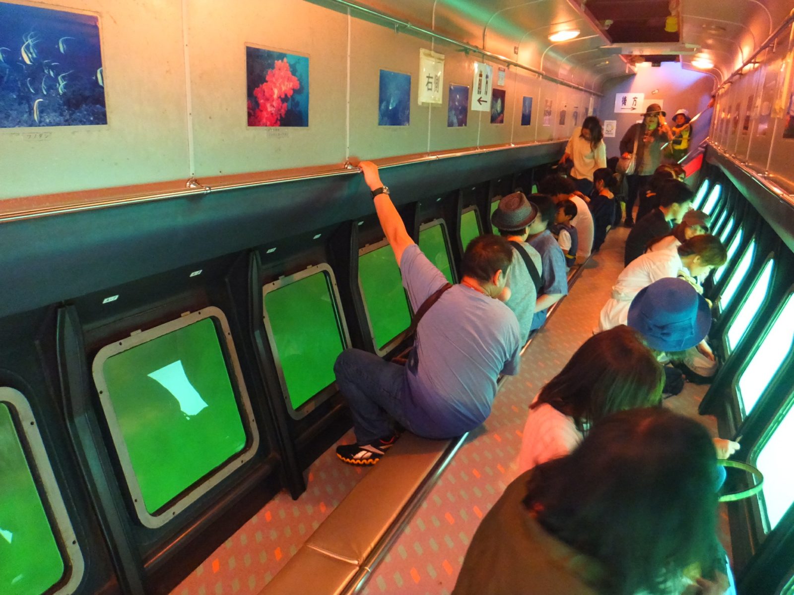 にじいろさかな号3