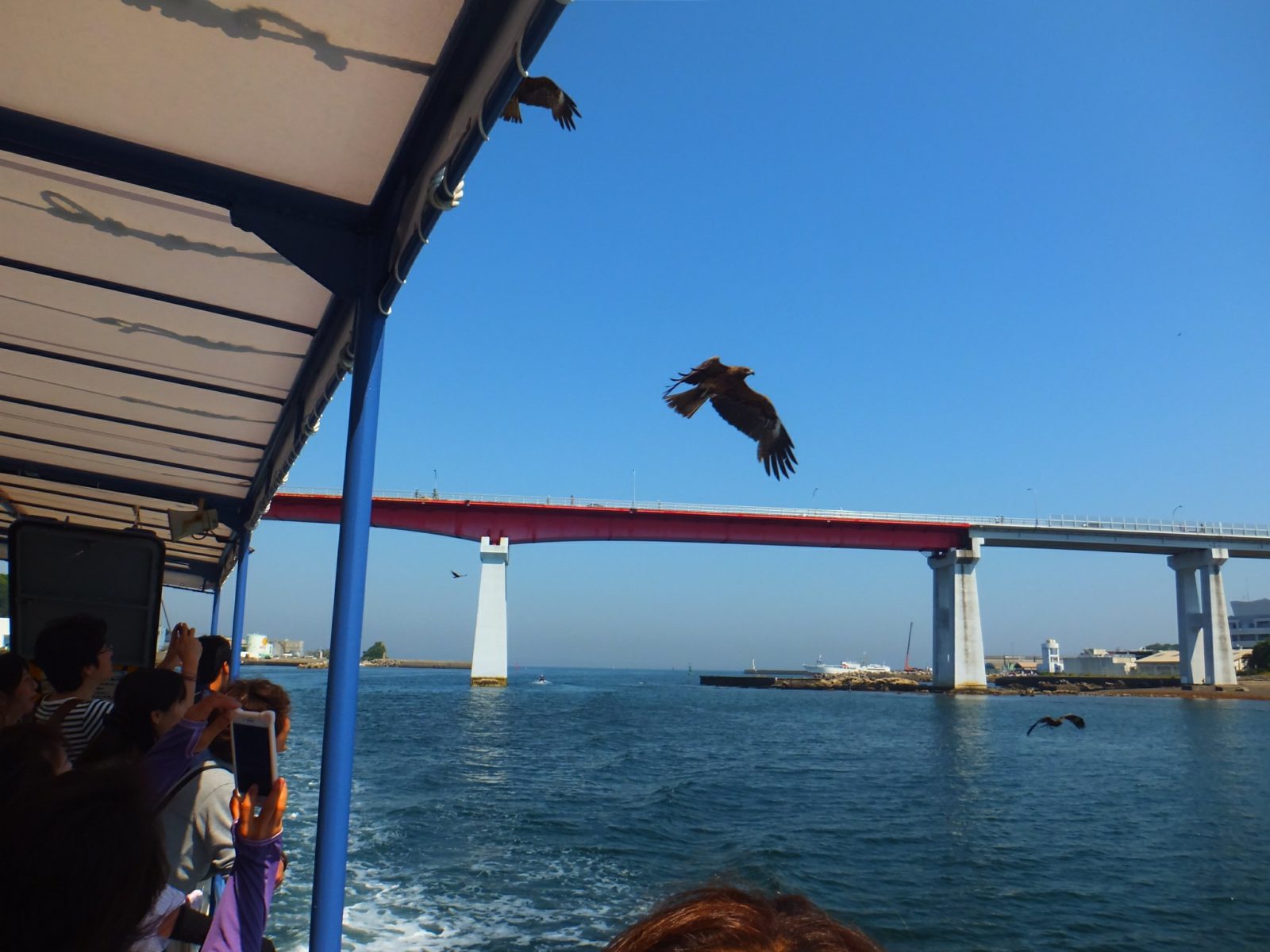 にじいろさかな号6