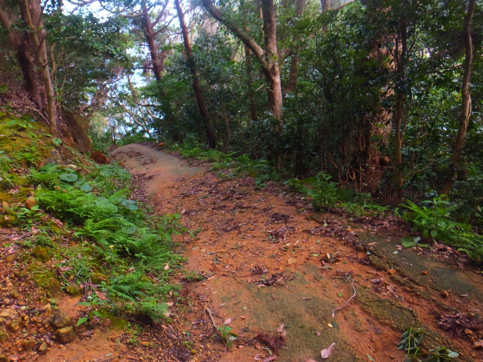 五輪集落への道2