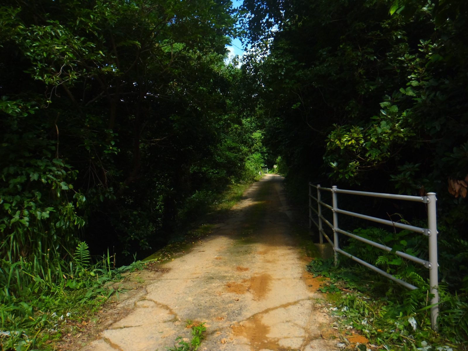 五輪集落への道