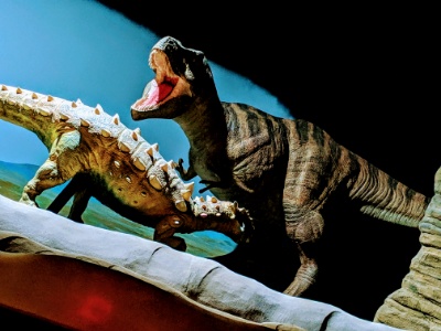 ライブシアター4