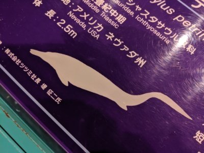 キムボスポンディルス2