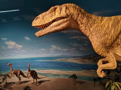 ライブシアター3