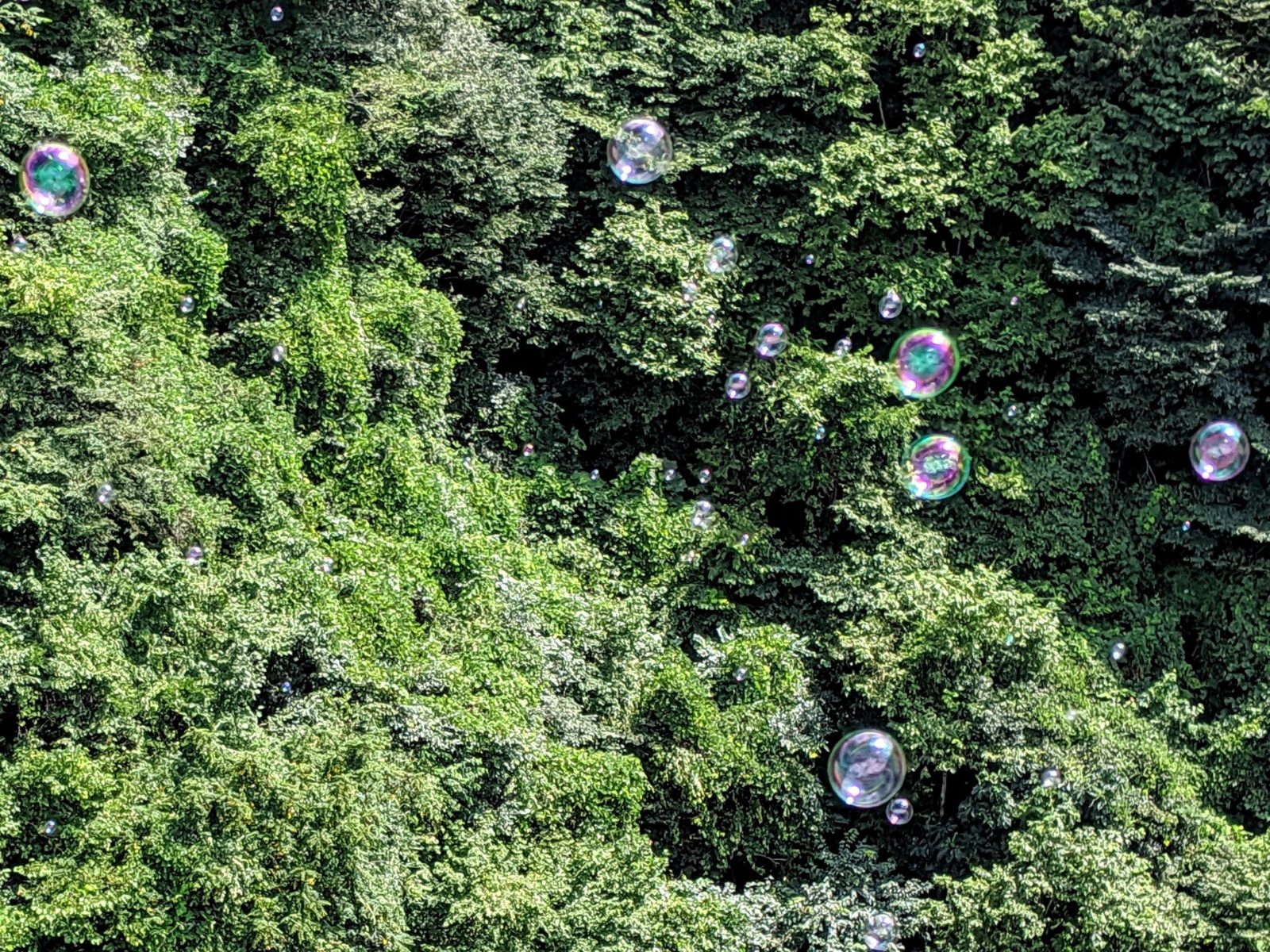 スカイブリッジのシャボン玉3