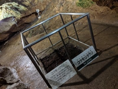 コウモリグアノ