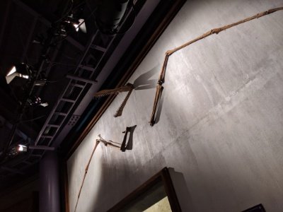 アンハングエラ