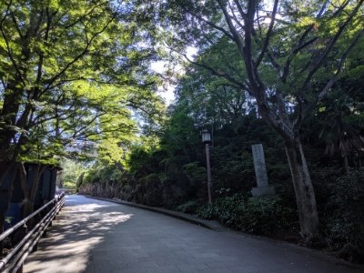 白衣観音への道のり