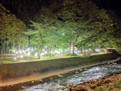 竹を使ったイルミネーション