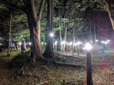 竹を使ったイルミネーション2