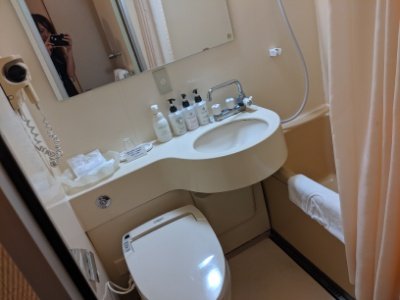 成田ビューホテルバストイレ