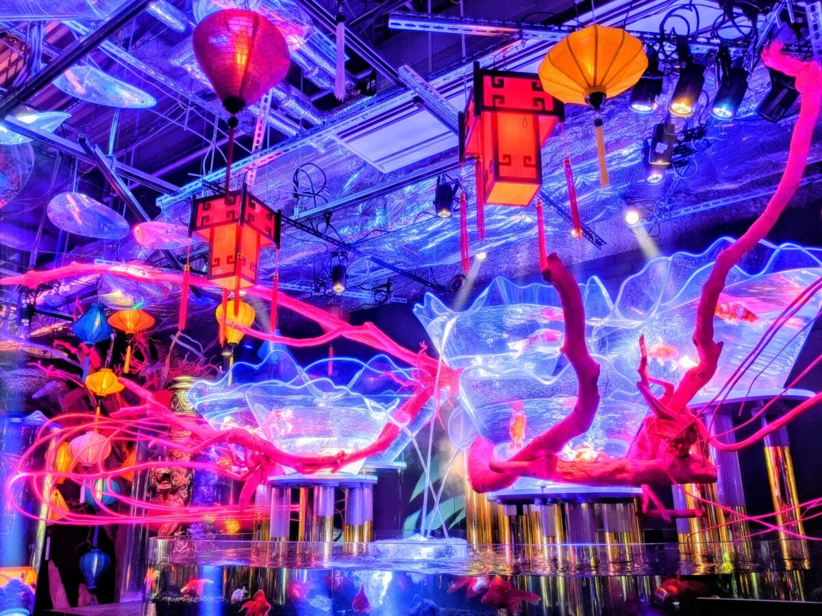 お台場の新名所！キラキラアクアリウム『UWS AQUARIUM GA☆KYO