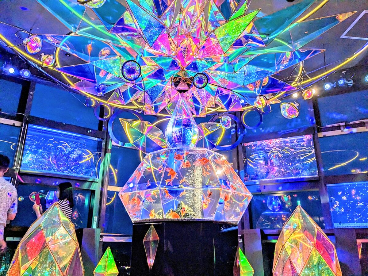 新たな進化を遂げたゴールドタワー 『天空のアクアリウム ソラキン