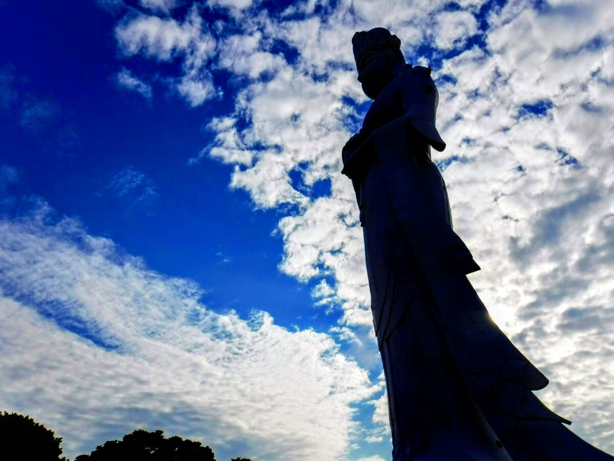 天上界めざしてハシゴを登ろう『東京湾観音』（富津市） | シマグニノ