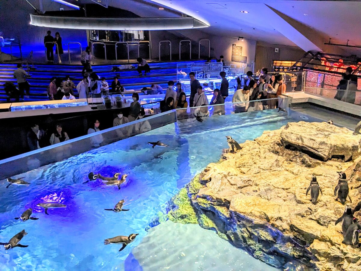 現貨SUMIDA 墨田水族館 すみだ水族館 | BEST ZOO & AQUARIUM | カーサ ブルータス Casa