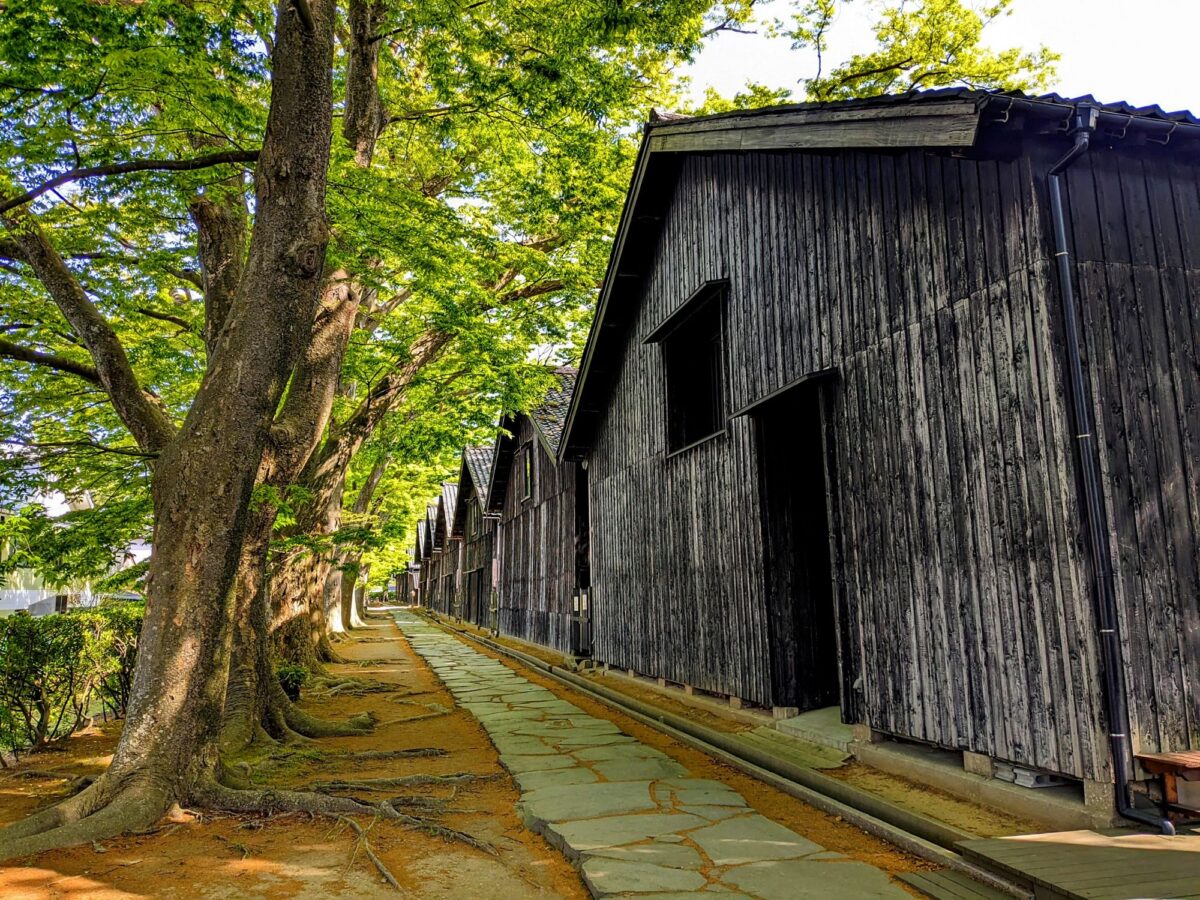 油絵（倉庫入り口） ケヤキ並木が美しすぎる米の保管庫『山居倉庫』（酒田市） | シマグニ