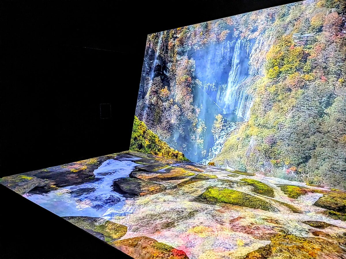 奥日光のいきものと信仰の歴史『栃木県立日光自然博物館』（日光