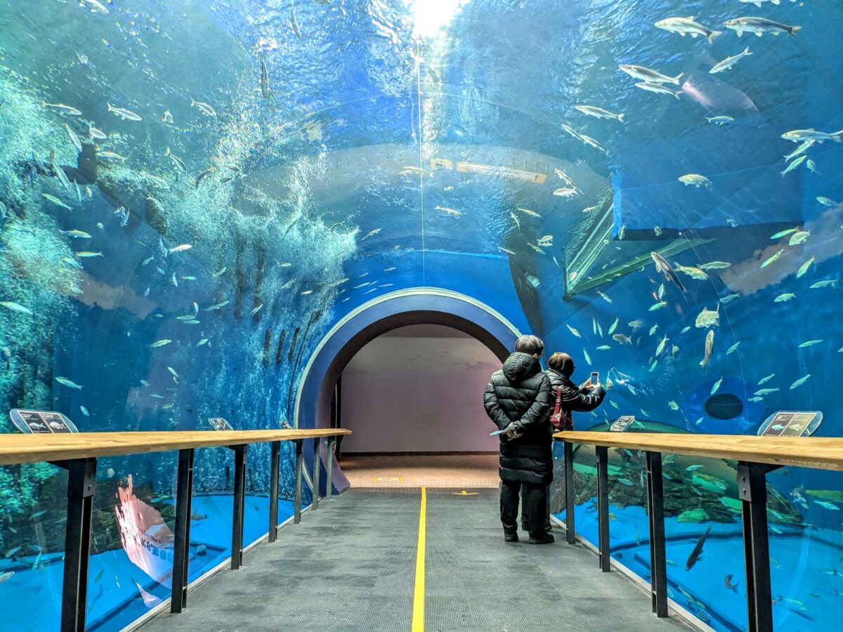 琵琶湖さん様 The Best 300ZX Big Wang Kits for Improved Performance on Your Z32