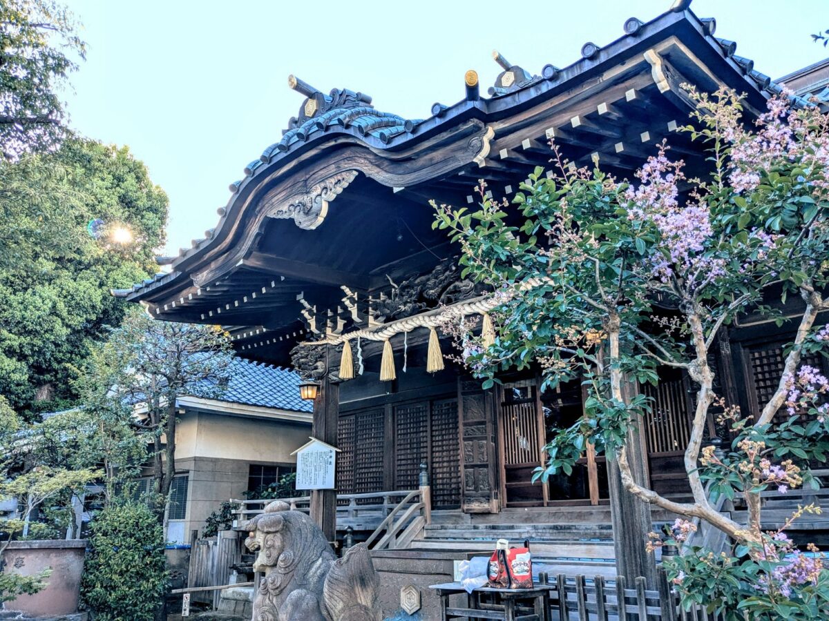 あじさいと富士塚擁する東京十社『白山神社』（文京区・白山